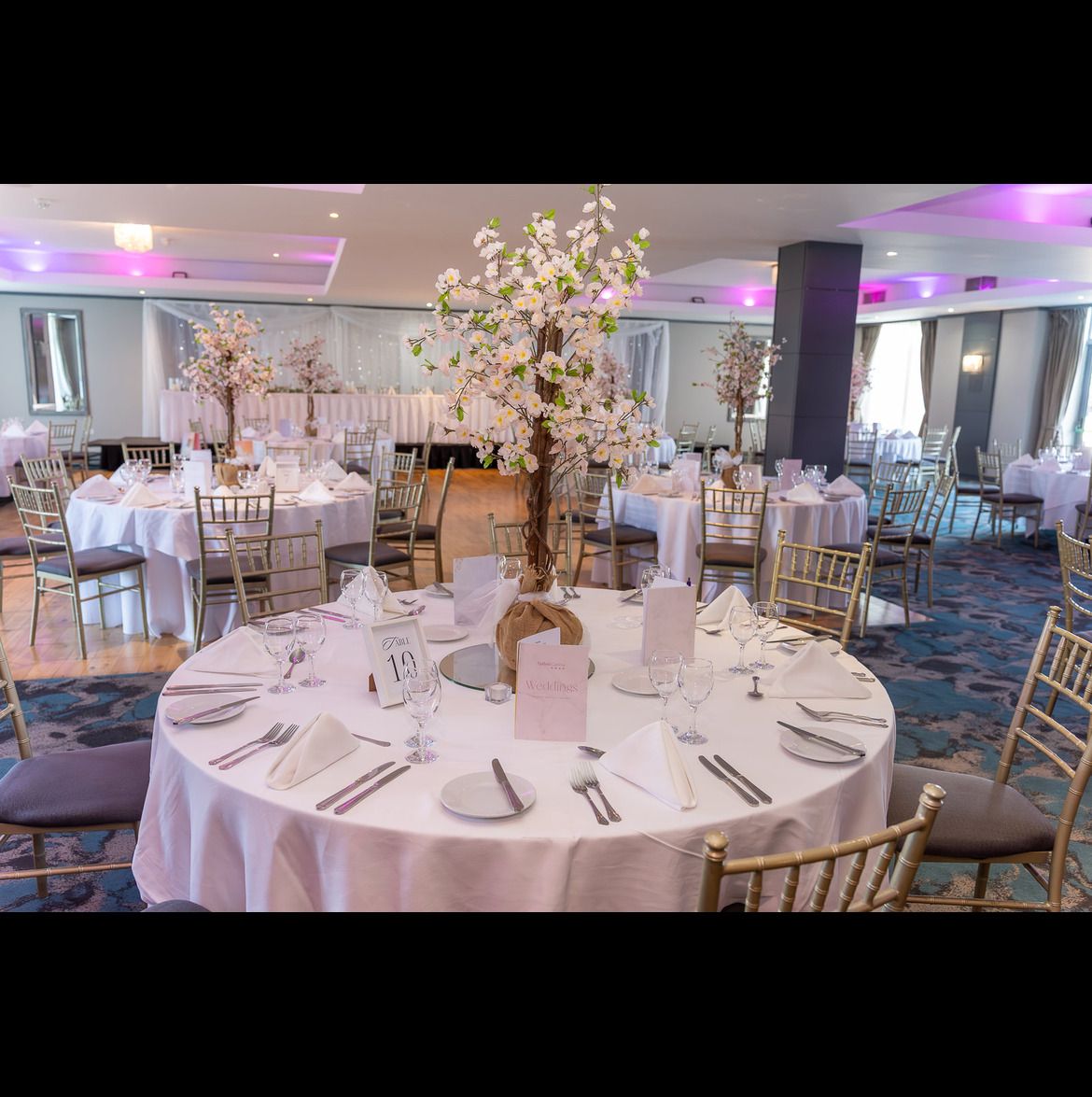 Function Room-100