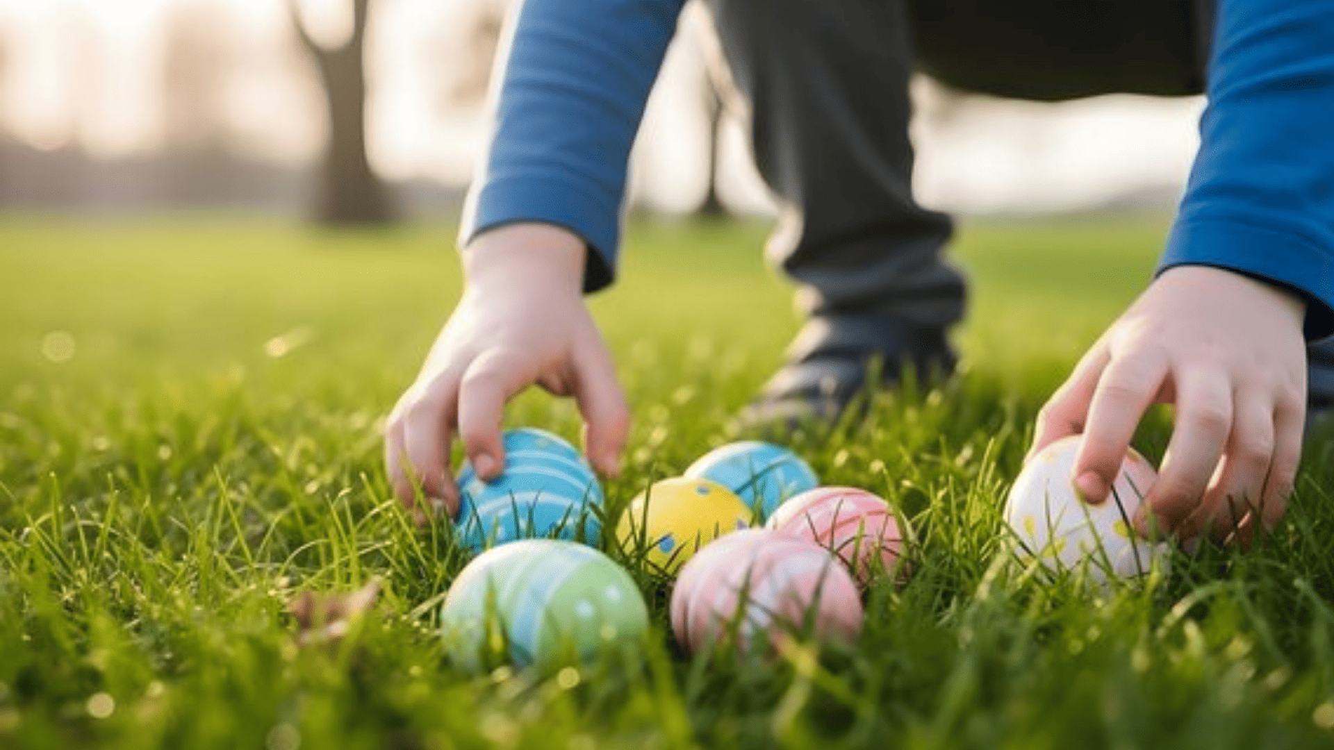 Untitled design     t www.talbotcarlow.ie_v2