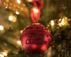 Party Nights, Festive Dining, & New Years Breaks! 